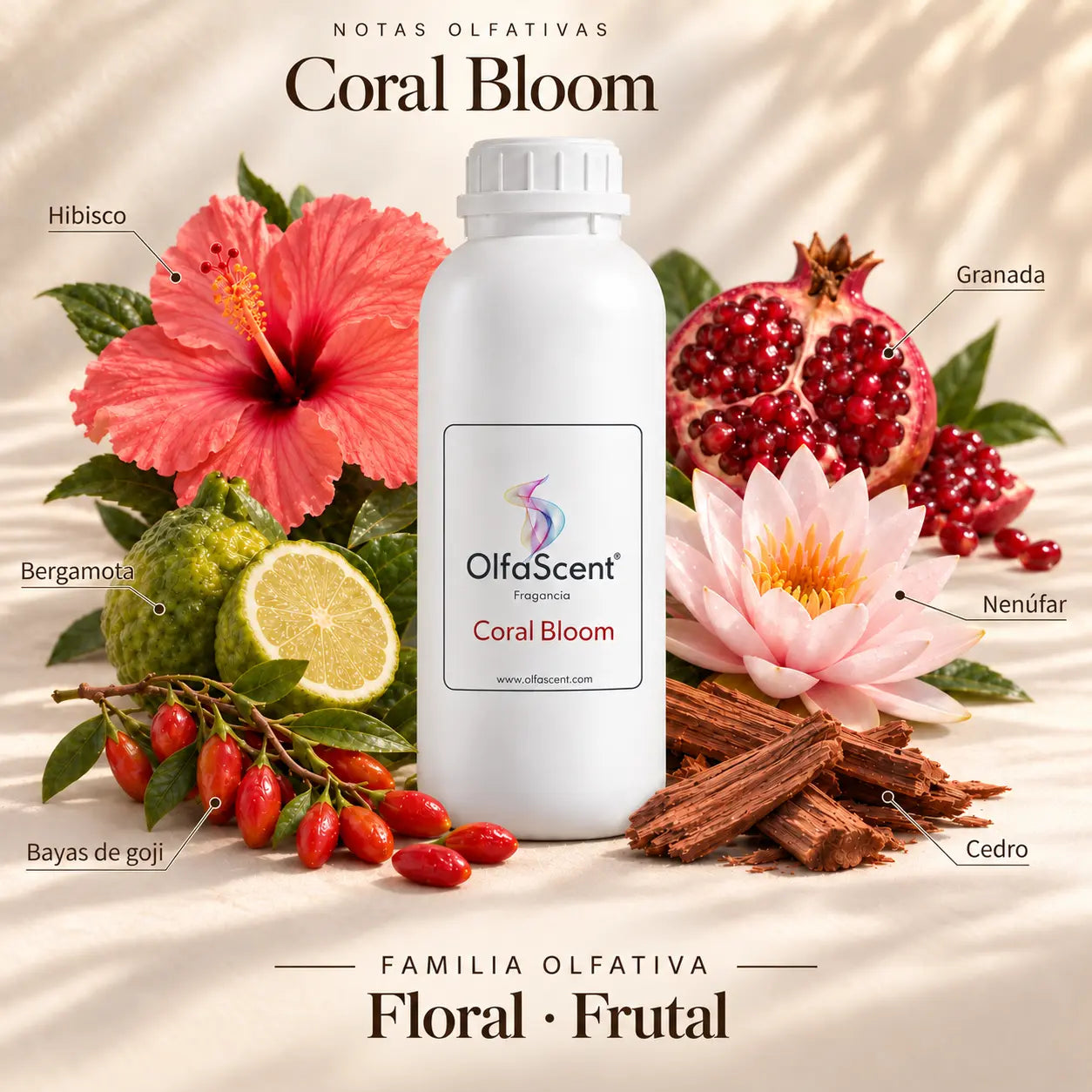 Coral Bloom: fragancia OlfaScent y sus notas aromáticas