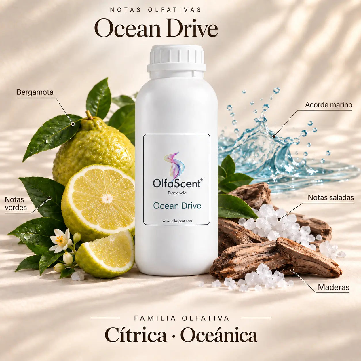 Ocean Drive: fragancia OlfaScent y sus notas aromáticas