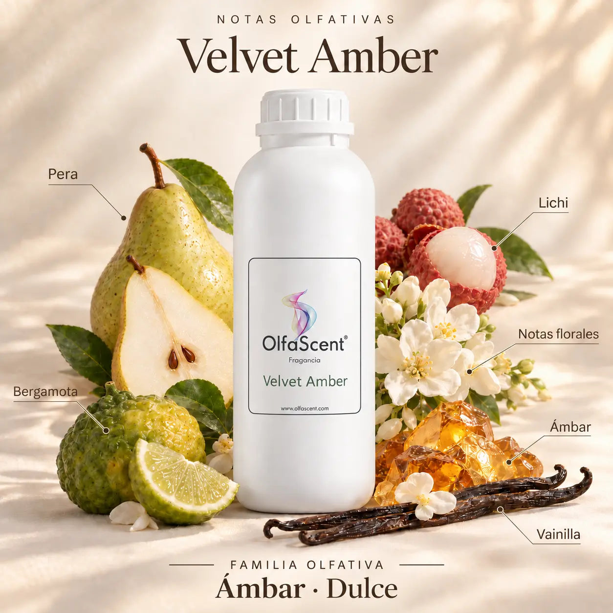 Velvet Amber: fragancia OlfaScent y sus notas aromáticas